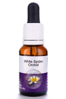 Living Essences White Spider 15ml