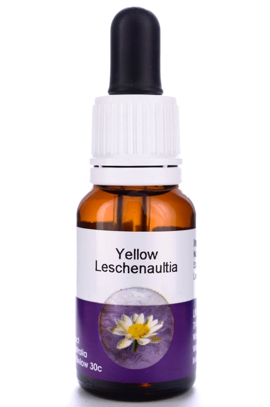 Living Essences Yellow Leschenaultia 50ml